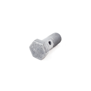 Load image into Gallery viewer, BMW VANOS Unit Banjo Bolt - Genuine BMW 07119905175