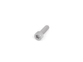 BMW Fillister Head Screw - Genuine BMW 07129901130