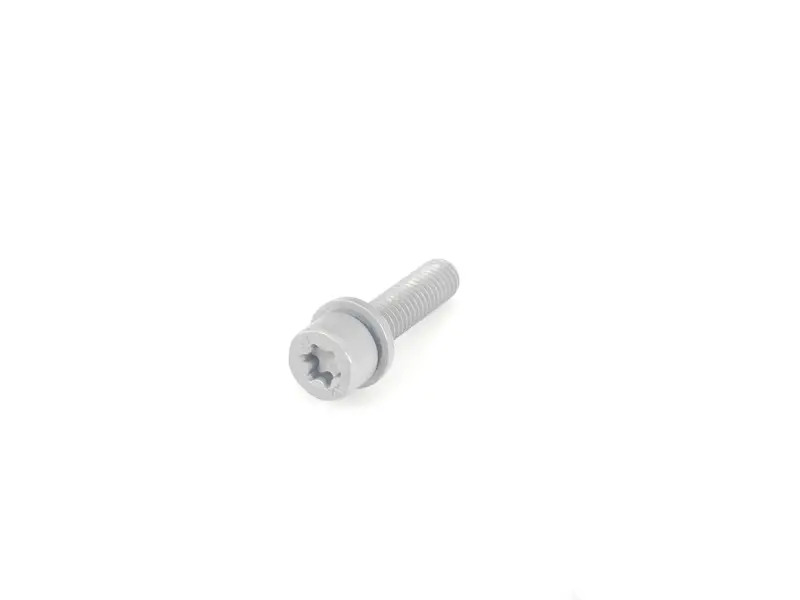 BMW Fillister Head With Washer - Genuine BMW 07129905558
