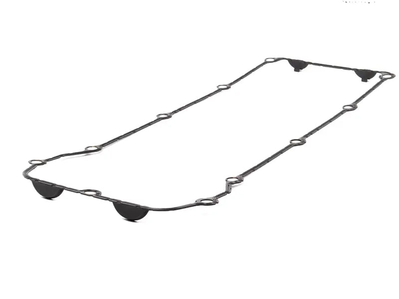 BMW Valve Cover Gasket - Genuine BMW 11127521009