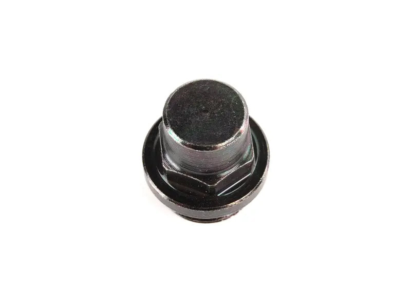 BMW Timing Chain Tensioner - Genuine BMW 11317531813
