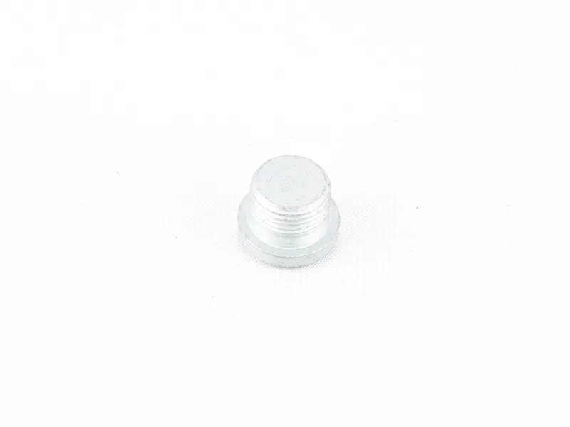 BMW Screw Plug (M18X1.5) - Genuine BMW 23017838930