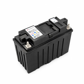 BMW 12V Lithium Dual Storage Battery - Genuine BMW 61215A4AF23