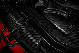 Eventuri BMW S65 E9X M3 Carbon Duct Set - Gloss