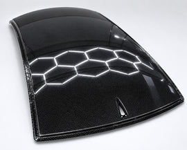 BMW E60 M5 CSL Panneau de toit en fibre de carbone - Pièce d'origine GEMS 41317111362