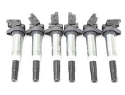 Load image into Gallery viewer, BMW Ignition Coil Kit (Set of 6) - Delphi GN1057112B1KT