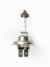 H7 Halogen Headlight Bulb - Koito 0701H
