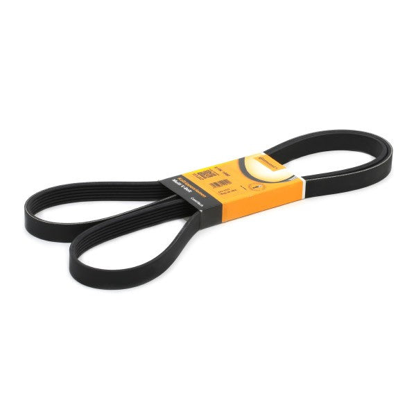 BMW Serpentine Belt - Continental 6PK1990