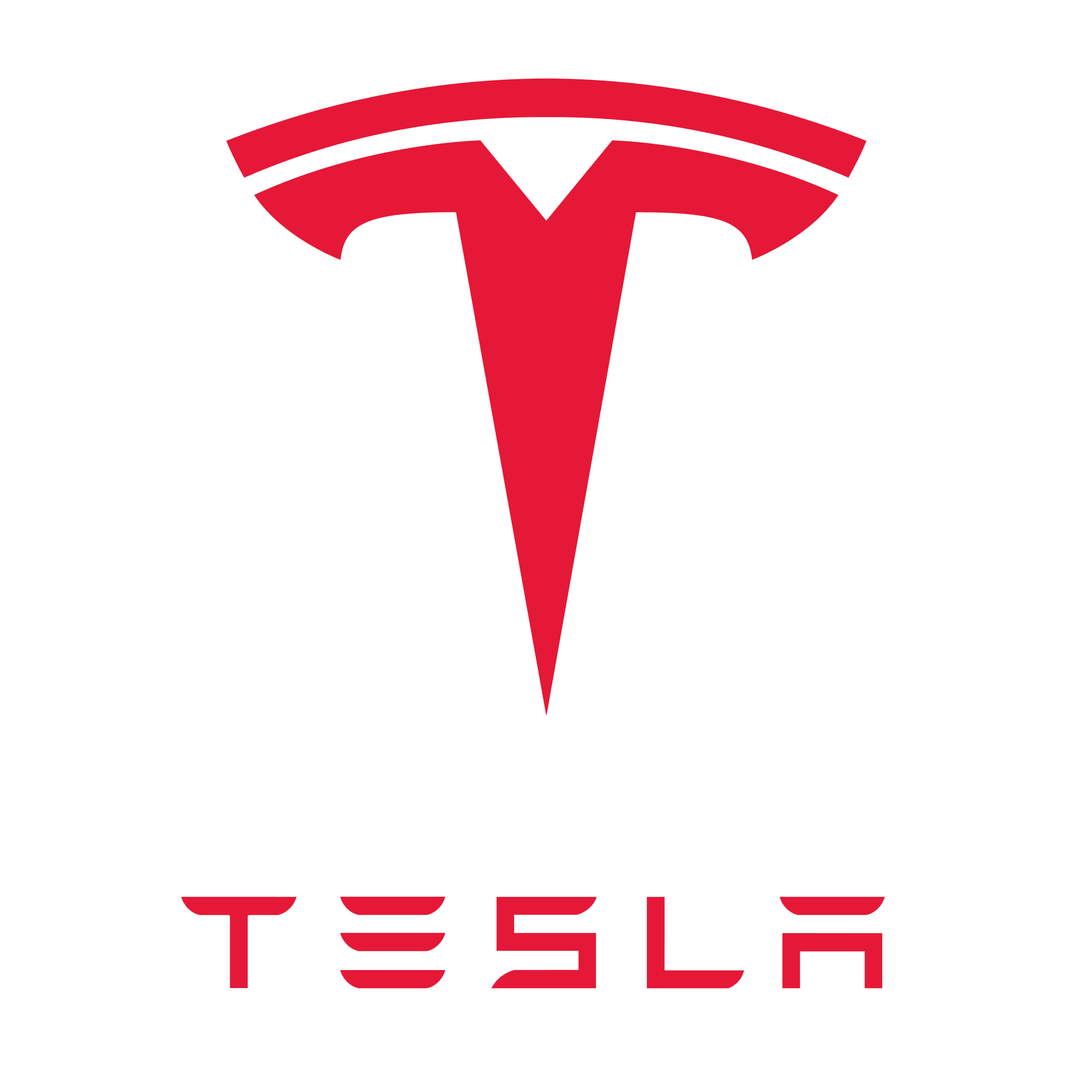 Genuine Tesla